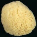 Натуральная морская губка Fine 5-6,2 см