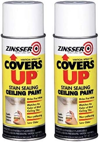 Zinnser Covers Up White Ceiling Paint, Ideal for Sealing Stains in Bat